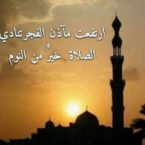 🇶🇦 ظـبـيـة 🇶🇦 tweet media