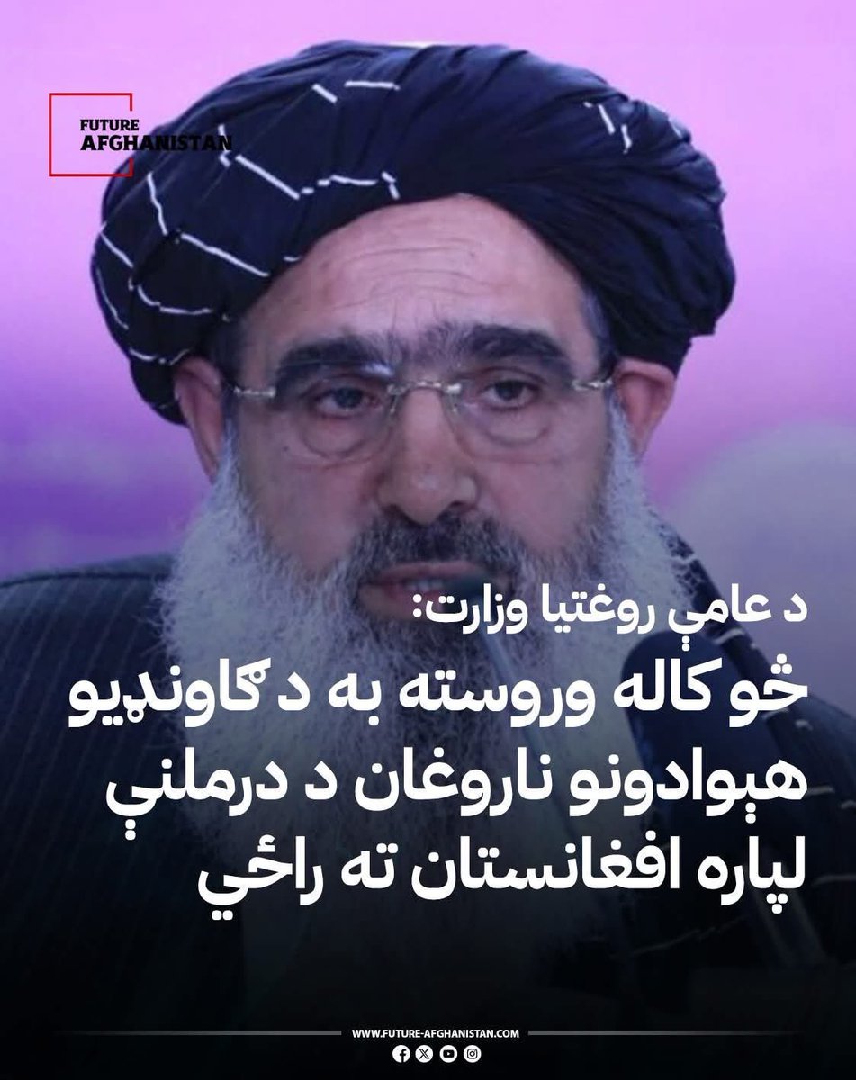 Babak Naqibullah tweet media