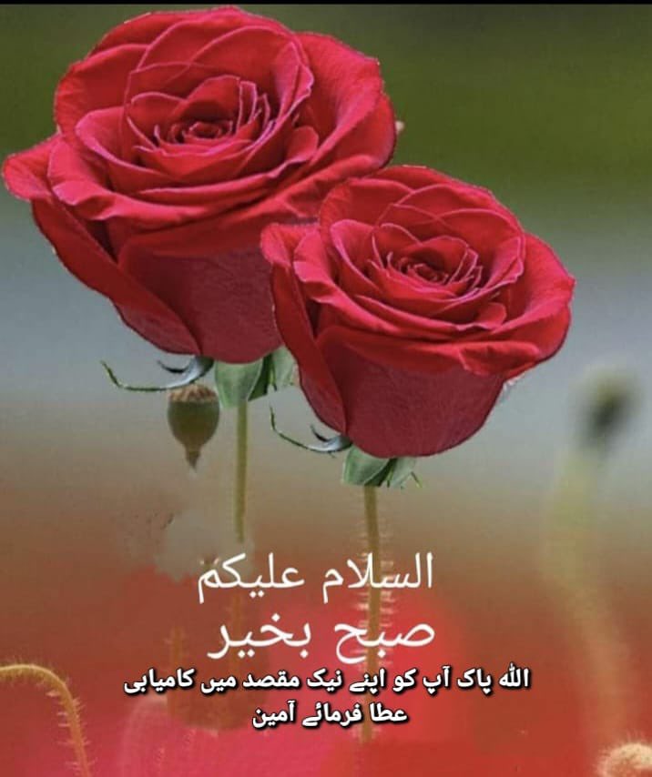 Tiaba0's tweet photo. اسلام علیکم ورحمتہ اللّٰہ وبرکاتہ 🥀 
Good morning 🌄 
صلی اللّٰہ علیہ وآلہ وسلّم 💞 https://t.co/j8HCoTpeLA