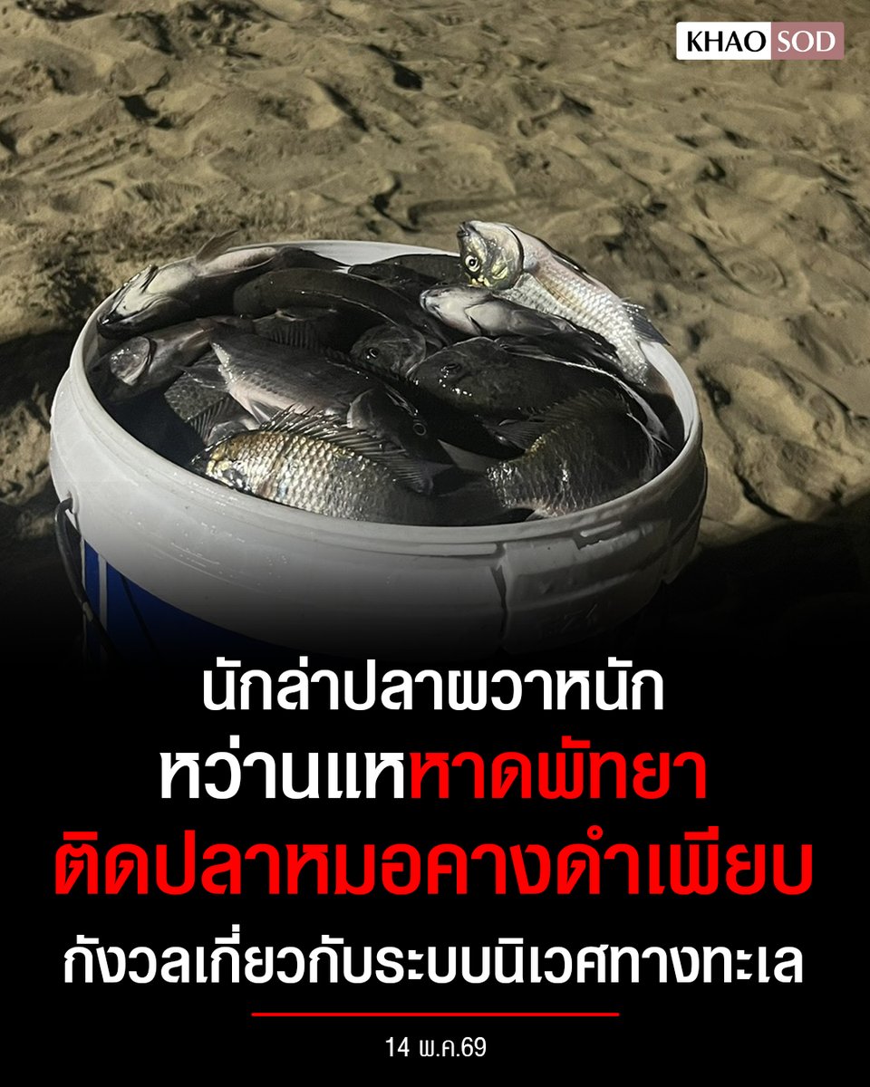 Khaosodonline tweet media