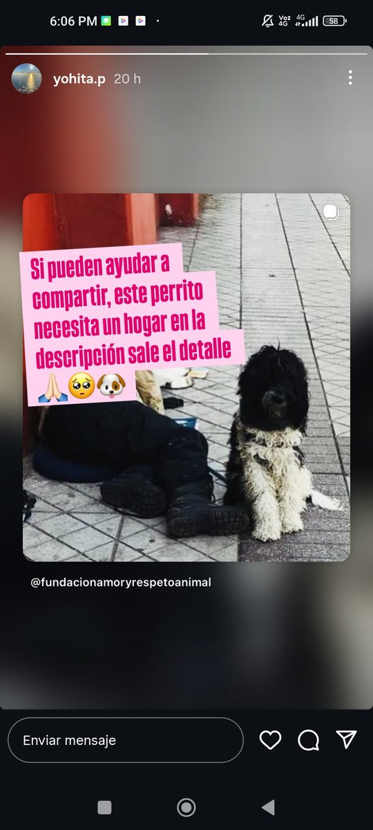 ClaraCorrea3's tweet photo. https://t.co/1MRiNlduZ1 https://t.co/J5ZJAaJbZB