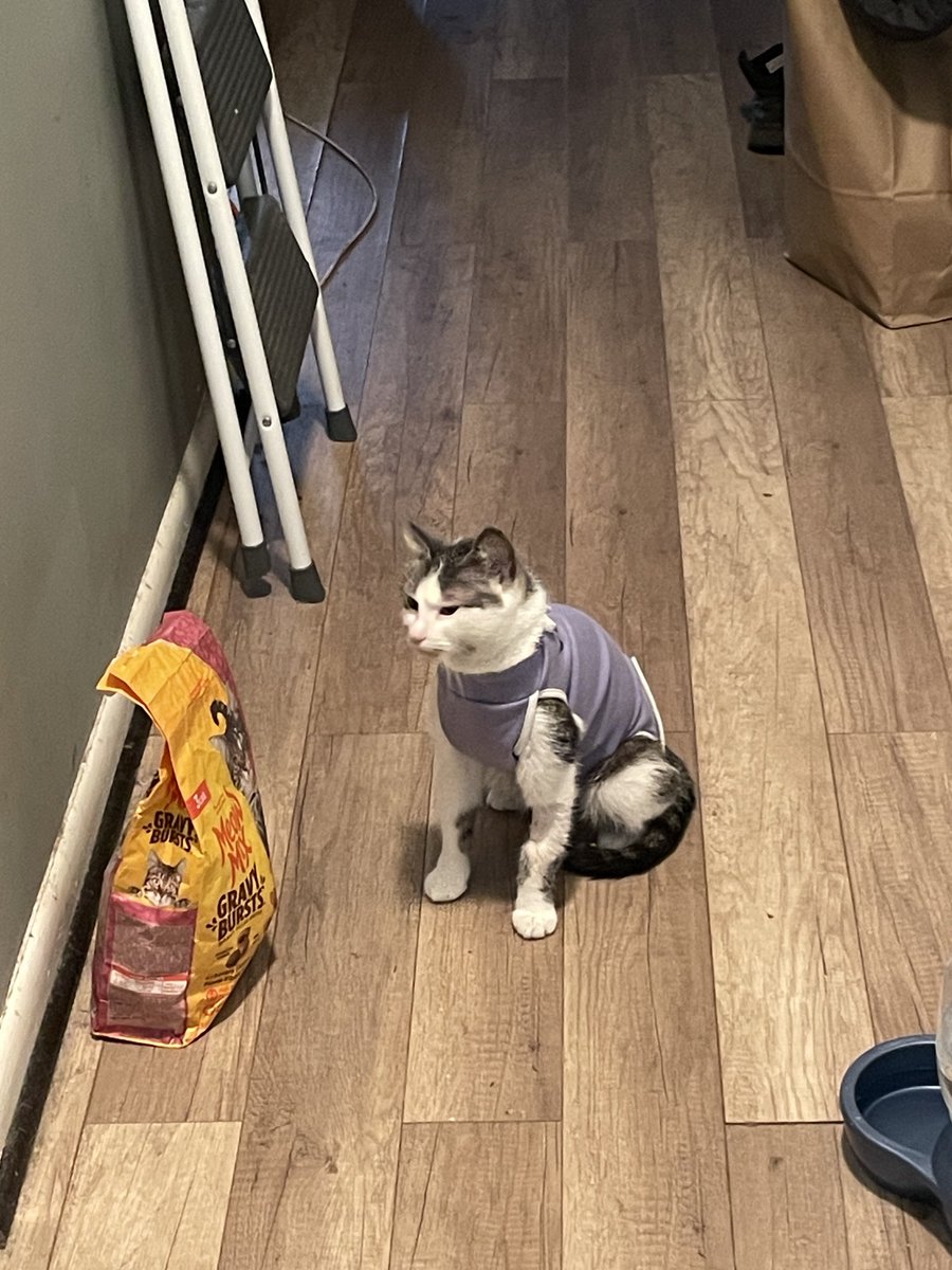 CoquitoMilkk's tweet photo. lil bando fresh out her pussy removal surgery!! #StylinOnEm https://t.co/uAXqS0dOvA