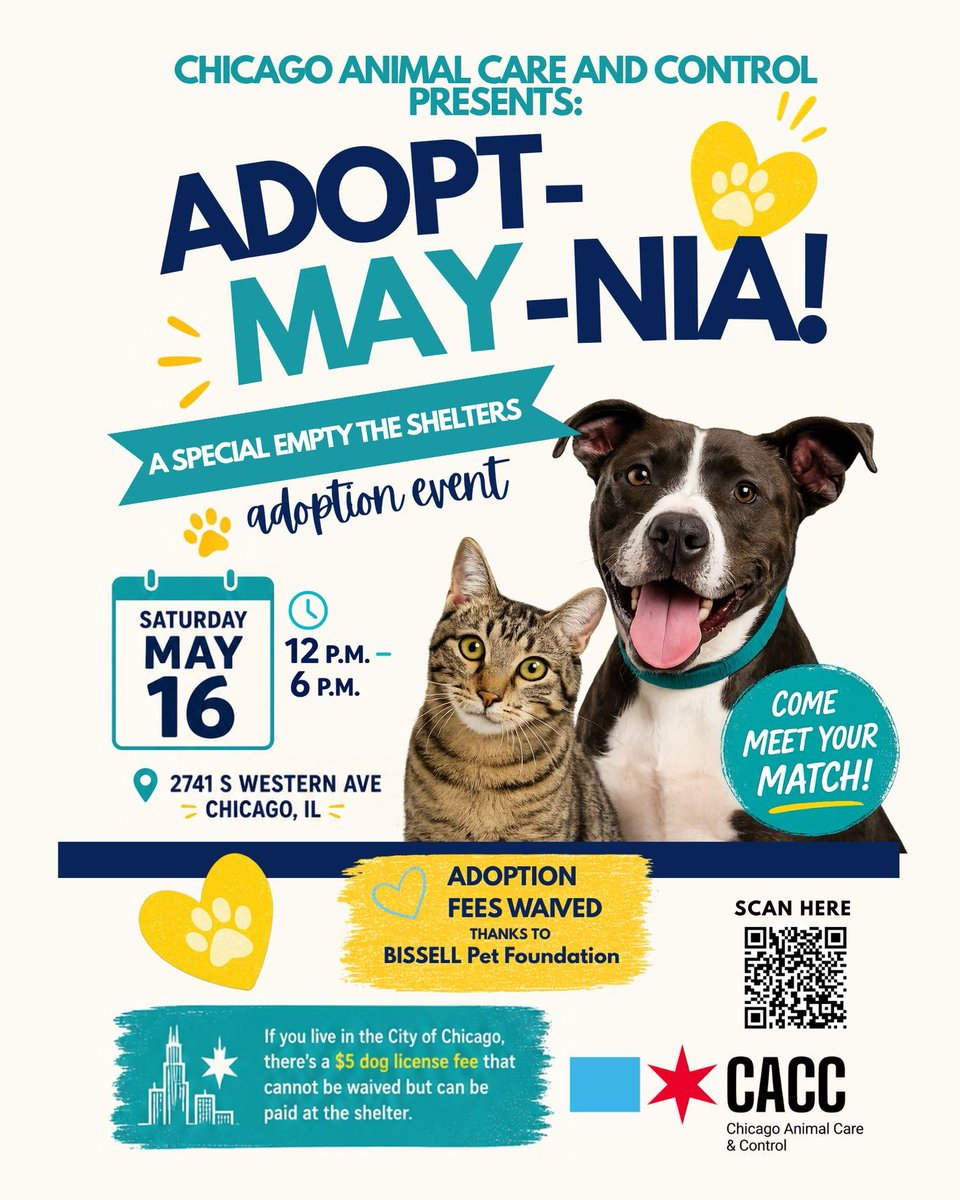 ChicagoACC's tweet photo. Adopt-MAY-nia is coming....🐾

Saturday, May 16 | 12–6 PM

📍 2741 S Western Ave

Adoption fees waived through May 17 thanks to BISSELL Pet Foundation ❤️

#ChicagoACC #EmptyTheShelters #AdoptDontShop https://t.co/tpN8uOzsfc