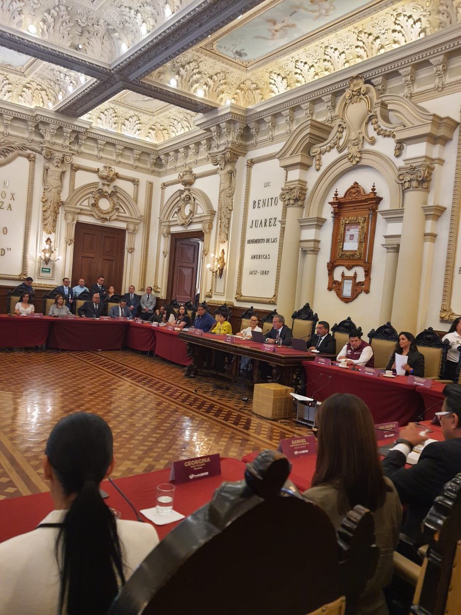 Georgina Ruiz Toledo tweet media