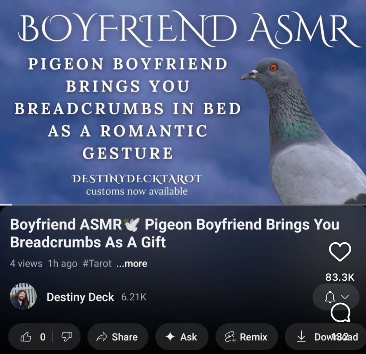Friendly Pigeon tweet media