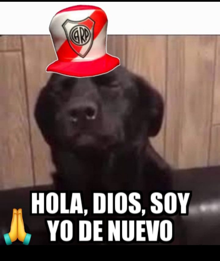 @mañiCL777🐓⚪❤⚪♊♍♏ tweet media