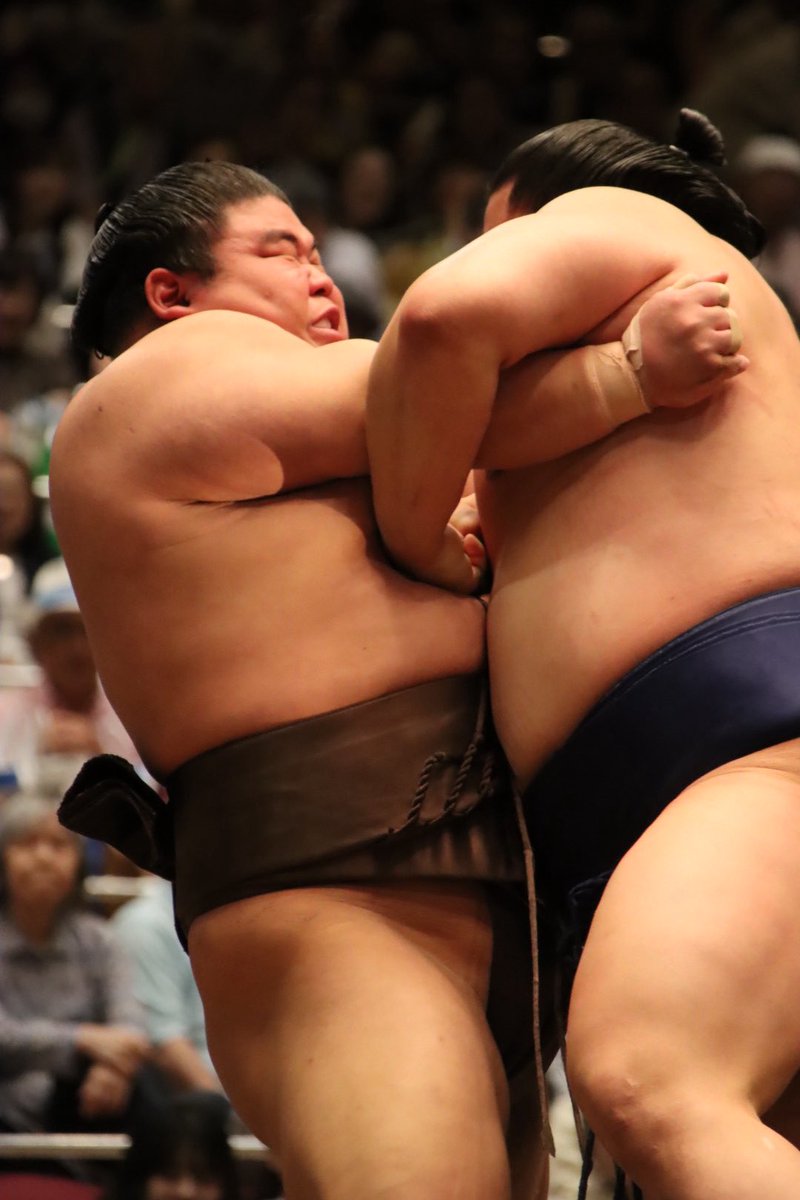 akimo to sumo tweet media