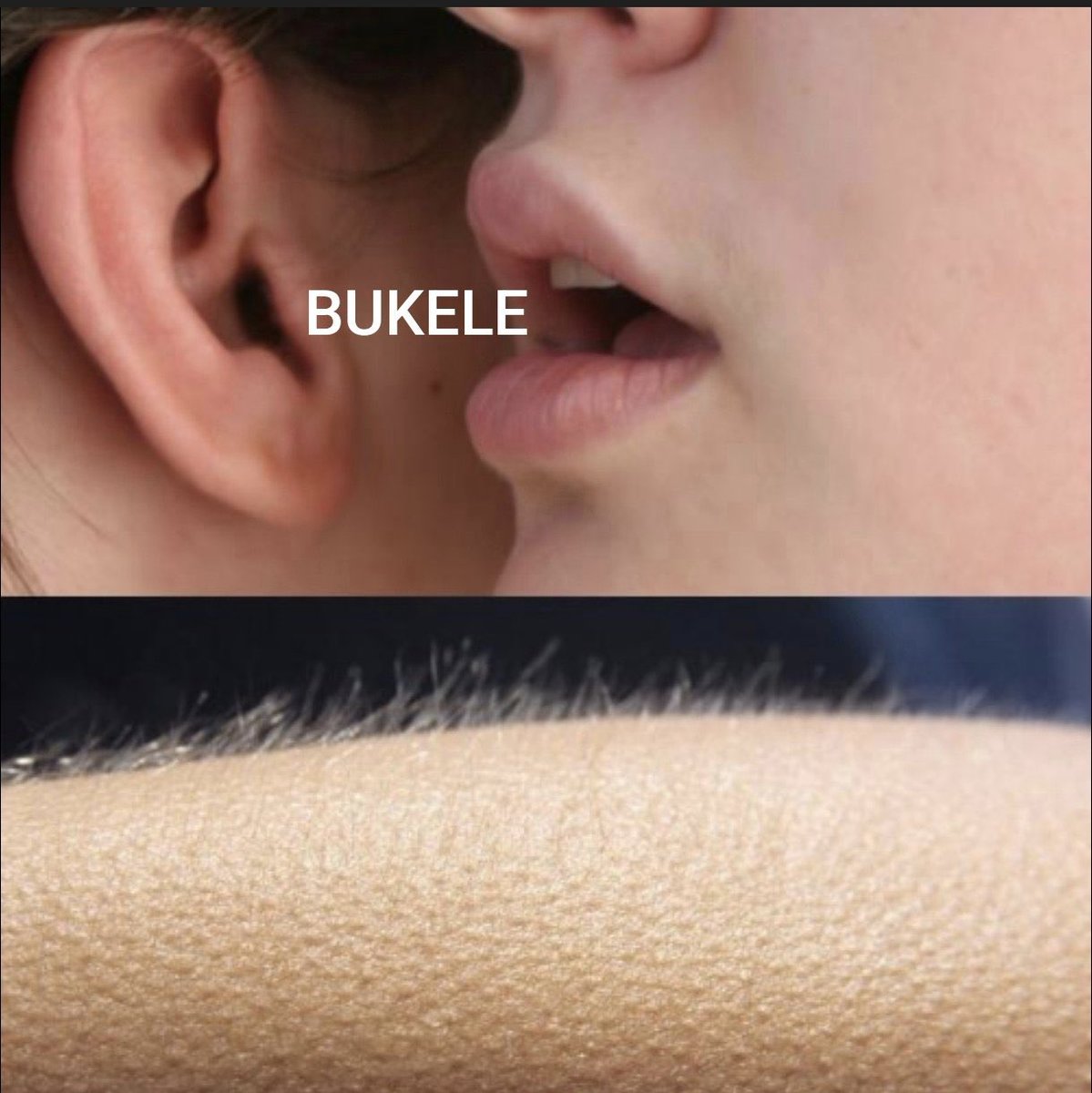 RoxyElizabeth! tweet media