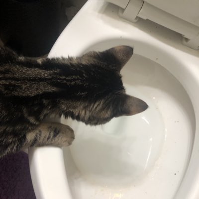 project_ixi's tweet photo. #NewProfilePic https://t.co/E5E1V3FhAr