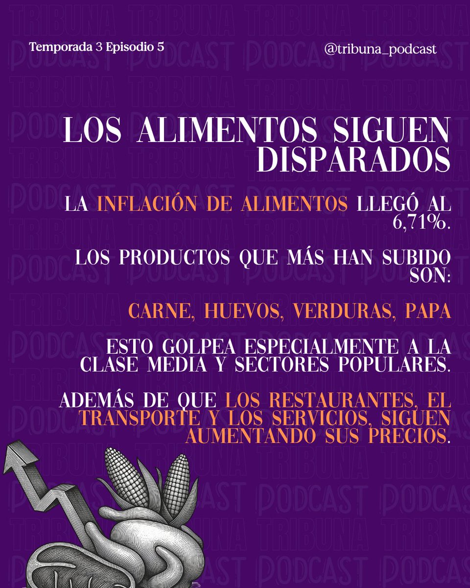Tribuna Podcast tweet media