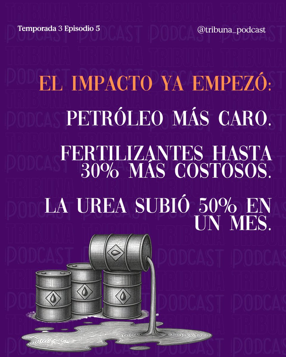 Tribuna Podcast tweet media