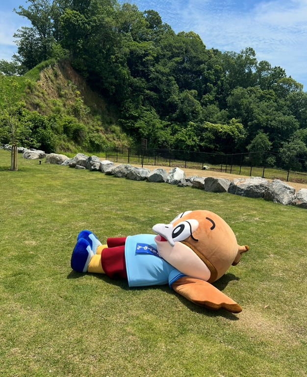 おはもず！ 新緑の良い季節やな～。🌿✨ #僕も新緑のように