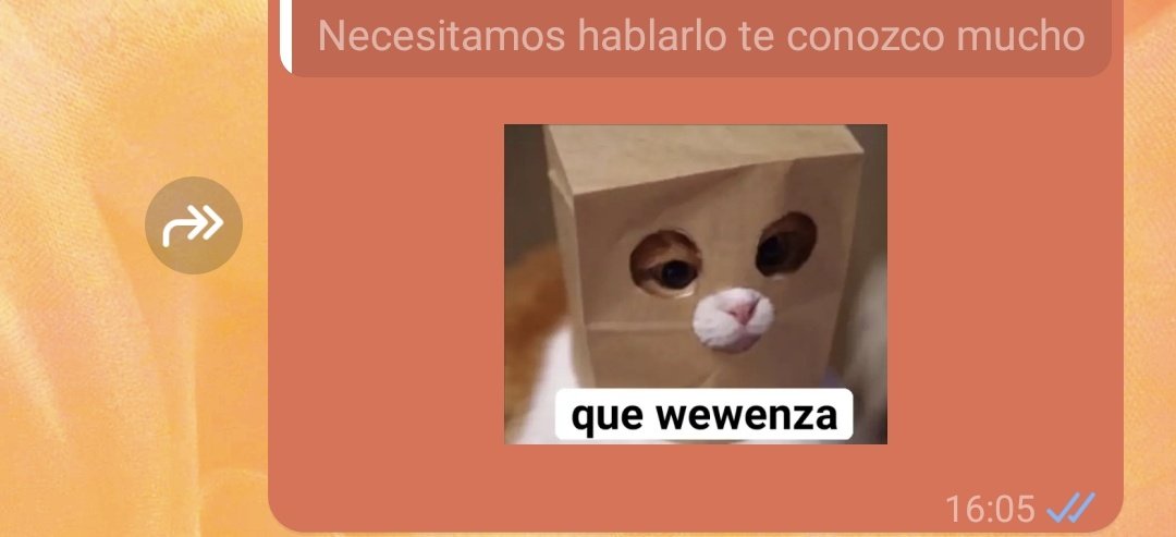 DanieAlcant's tweet photo. Mish siempre será mi persona, ni yo me conozco tanto como ella. https://t.co/vEcWQn7L7k