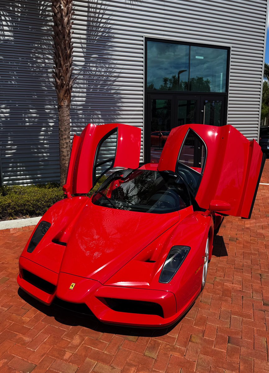 JoeW6_'s tweet photo. 🐎 https://t.co/KEJfn1rHnA