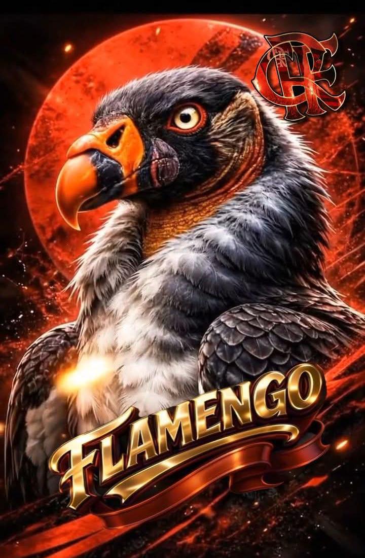 Celinha flamor ♍ ❤️🖤 tweet media