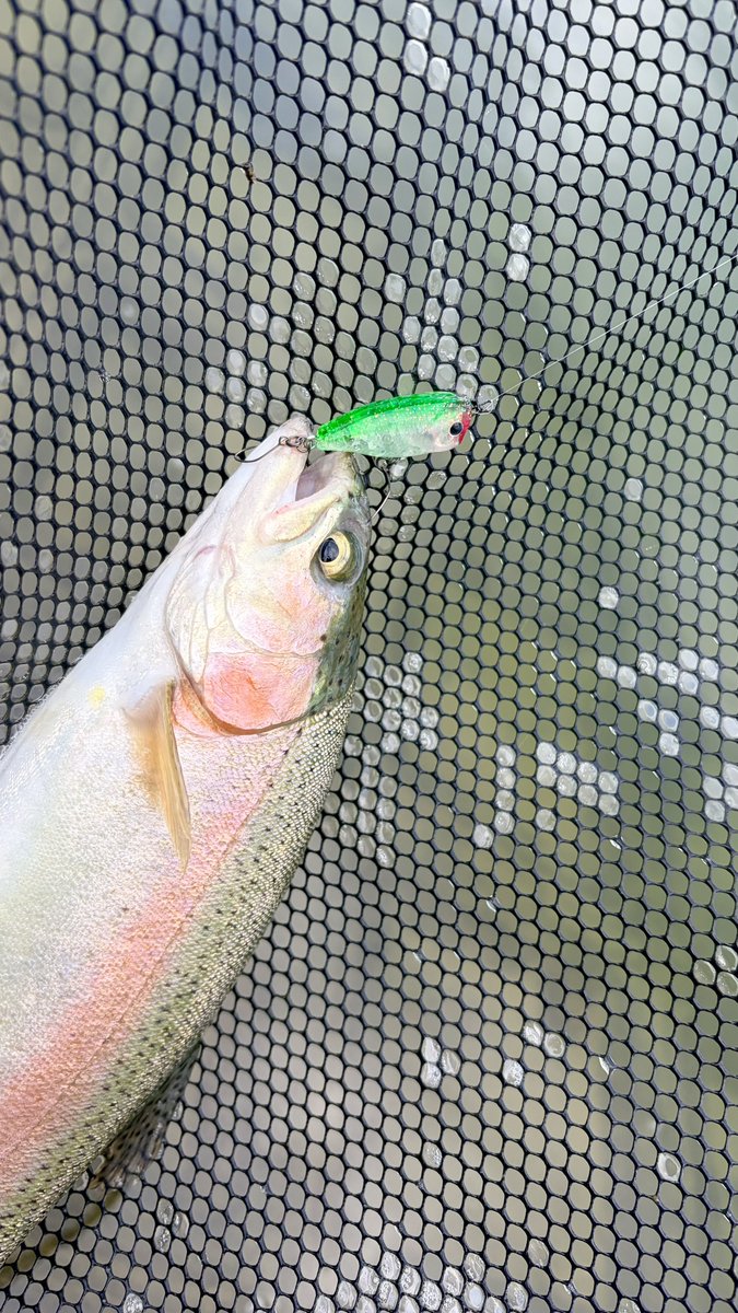 まっきぃ@石垣真希子🎣B-GROUNDの人 tweet media