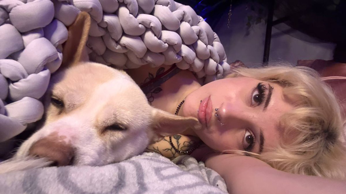Paige Jordan tweet media