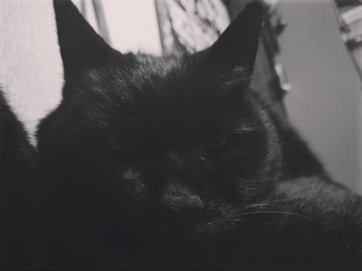 Post by TZW 1984 on X: Morning.