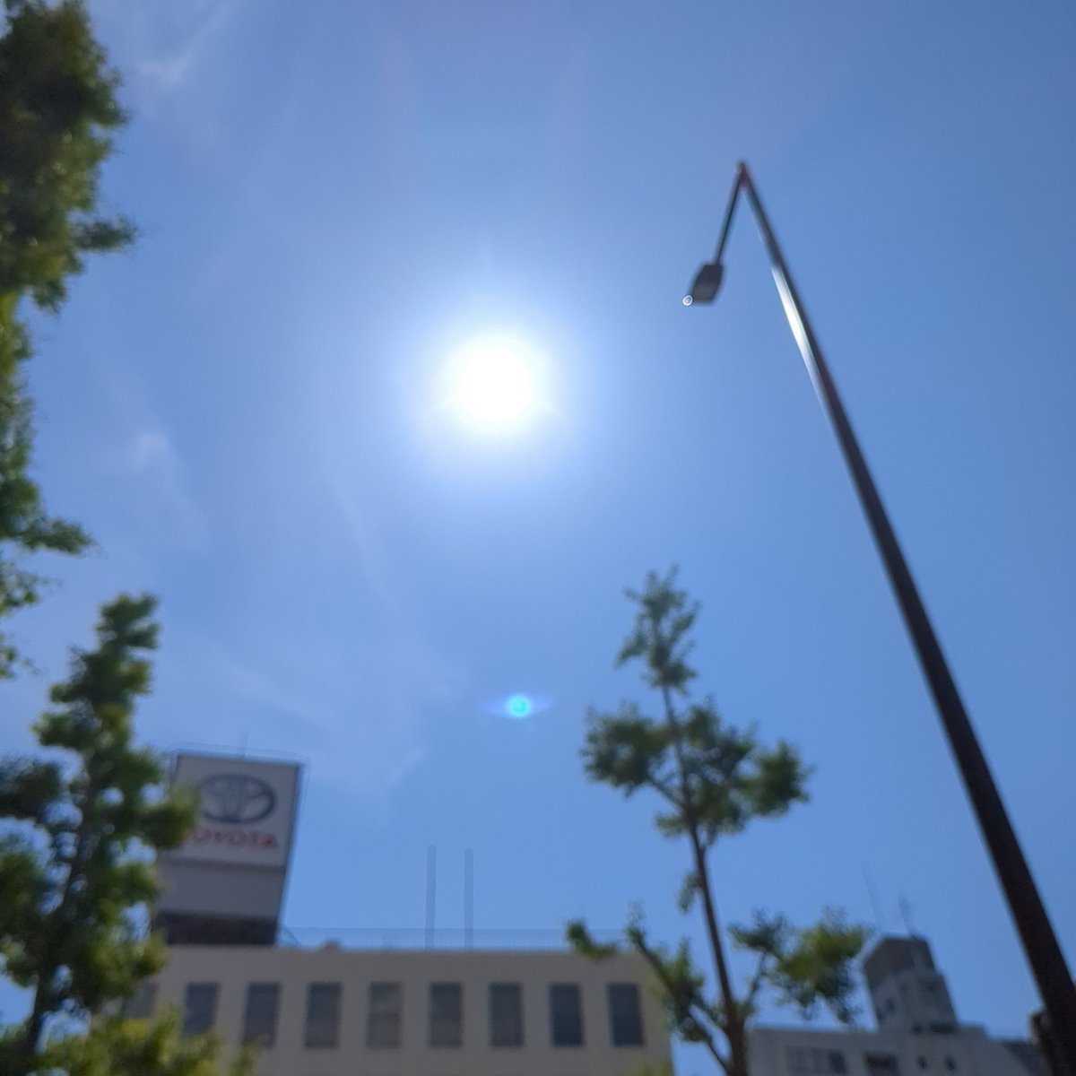 adomlabo's tweet photo. おはようーー！大阪のお陽さま
青空の中は、気持ちいいですか〜
今日も日本は平和ですね
この当たり前の日常があることに感謝して、頑張るで〜！！
ファイティン♥
#イマソラ
#写真が好き 
#空が好きな人と繋がりたい
#百香草が好き https://t.co/uIeQ8Bd8ax