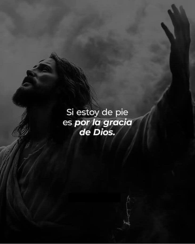 Disciplina tweet media