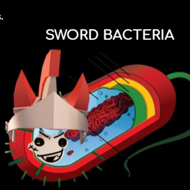 Shellysw0rd's tweet photo. Guys I made this to help my friend study what do you think https://t.co/mcV3cMWppz