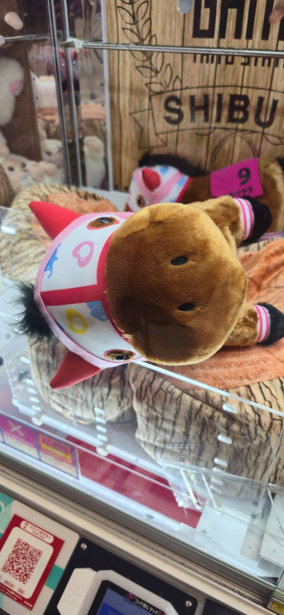 Yoitsu Velvet 🐴🎀✨️ tweet media