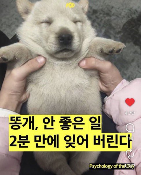 마크 죽어버그 tweet media