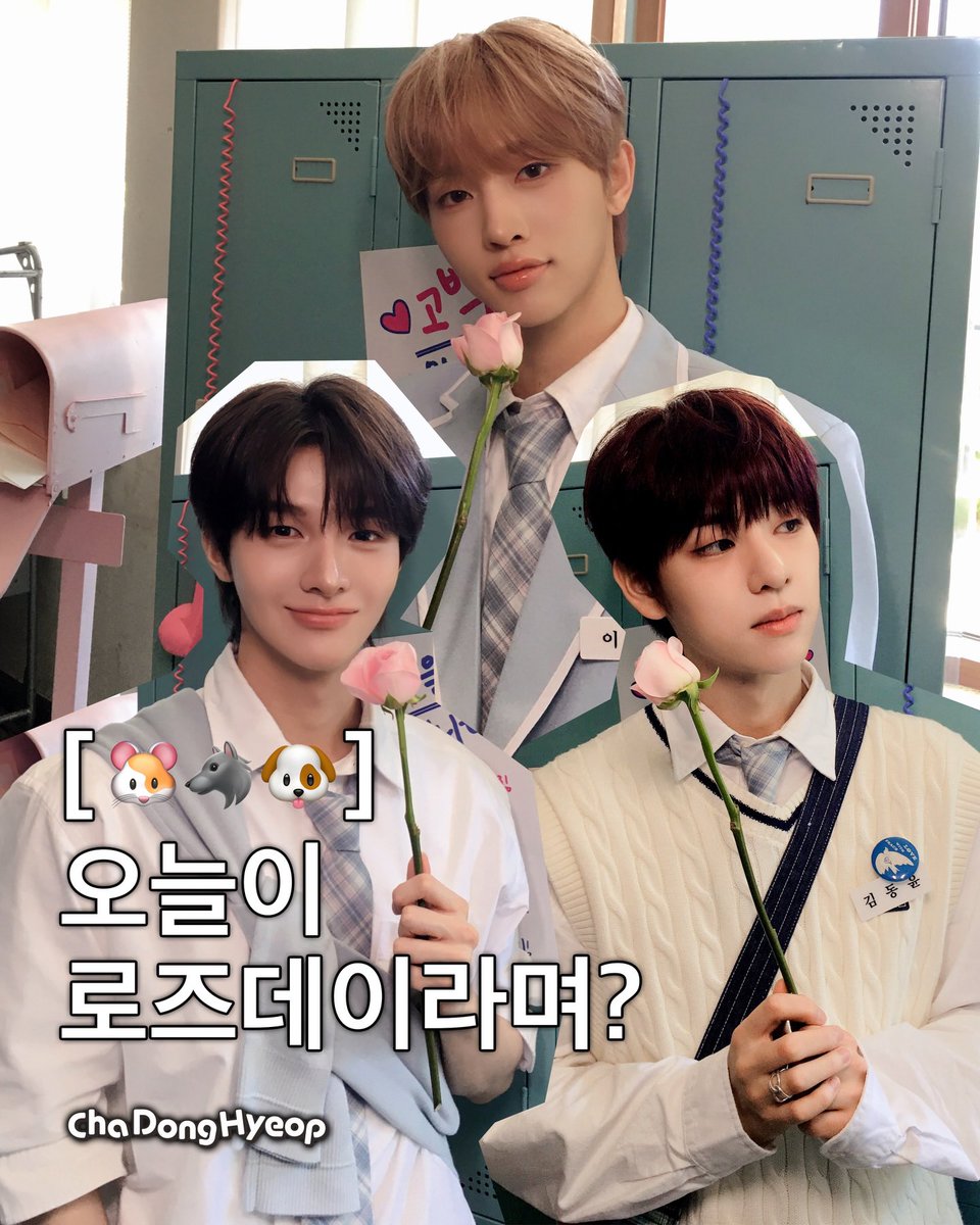 첼 tweet media