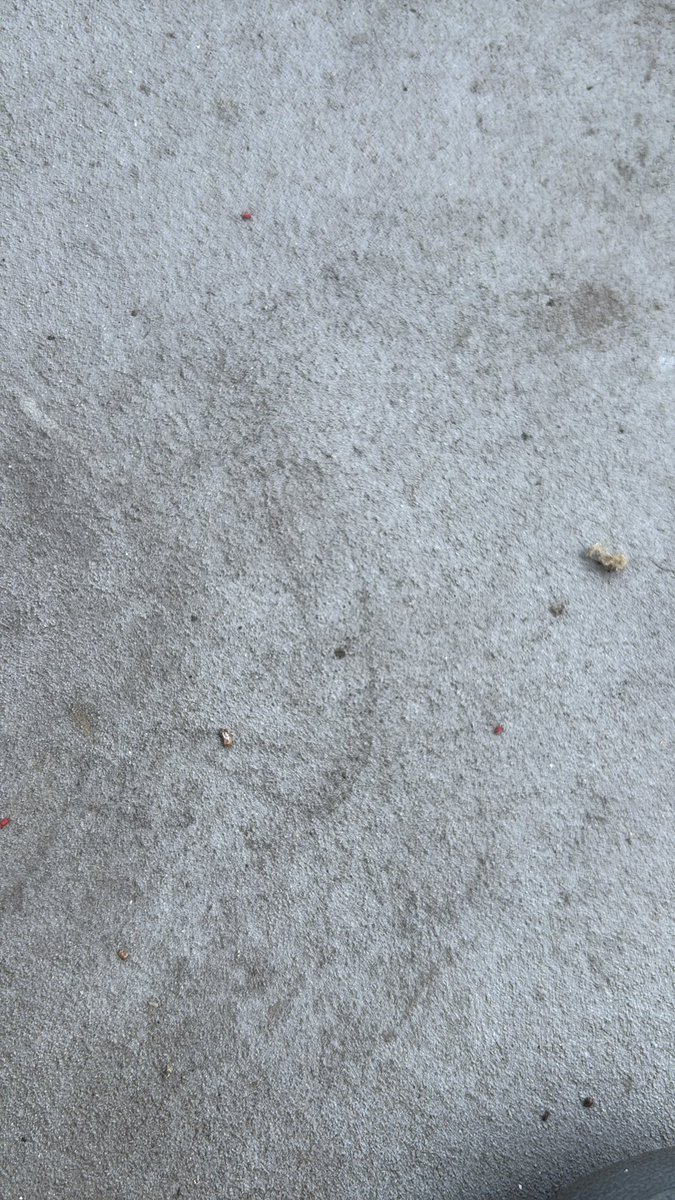 HZ649675's tweet photo. 大人になったら見えない赤い虫が見えたので僕はまだ子供です https://t.co/O6iTAGoBOy