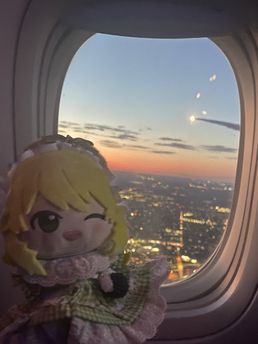 めの🍙🌻 tweet media