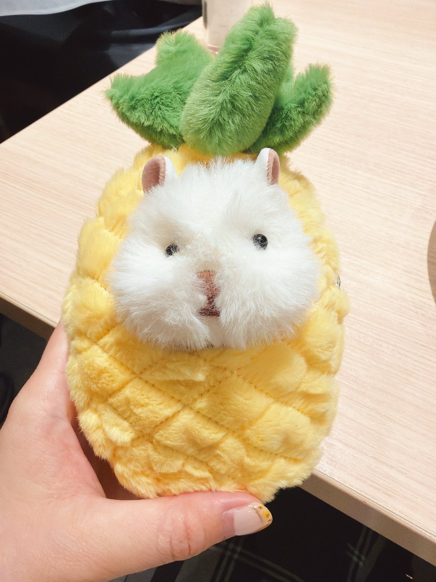 ぽぽた ✿ᵕ̈ tweet media