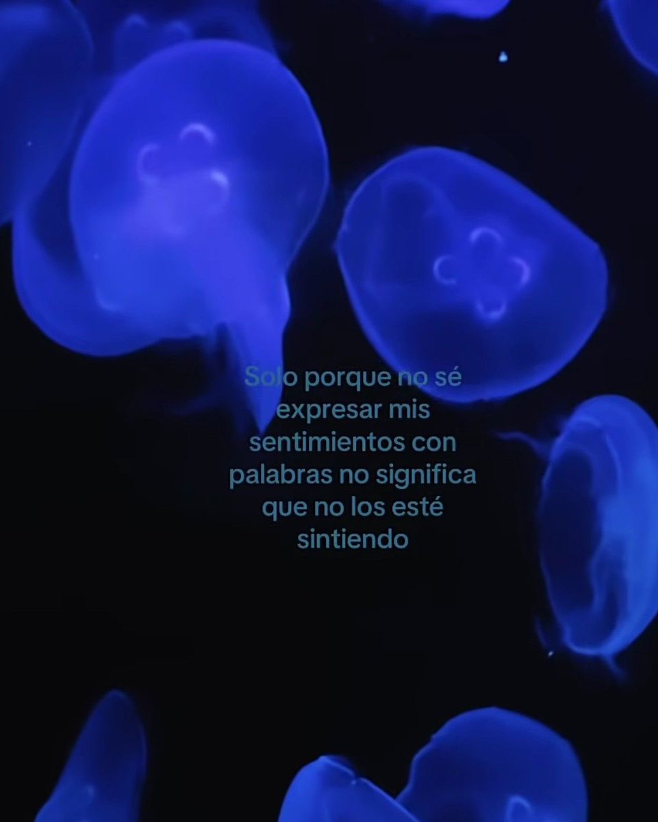 Malditas Vibras tweet media