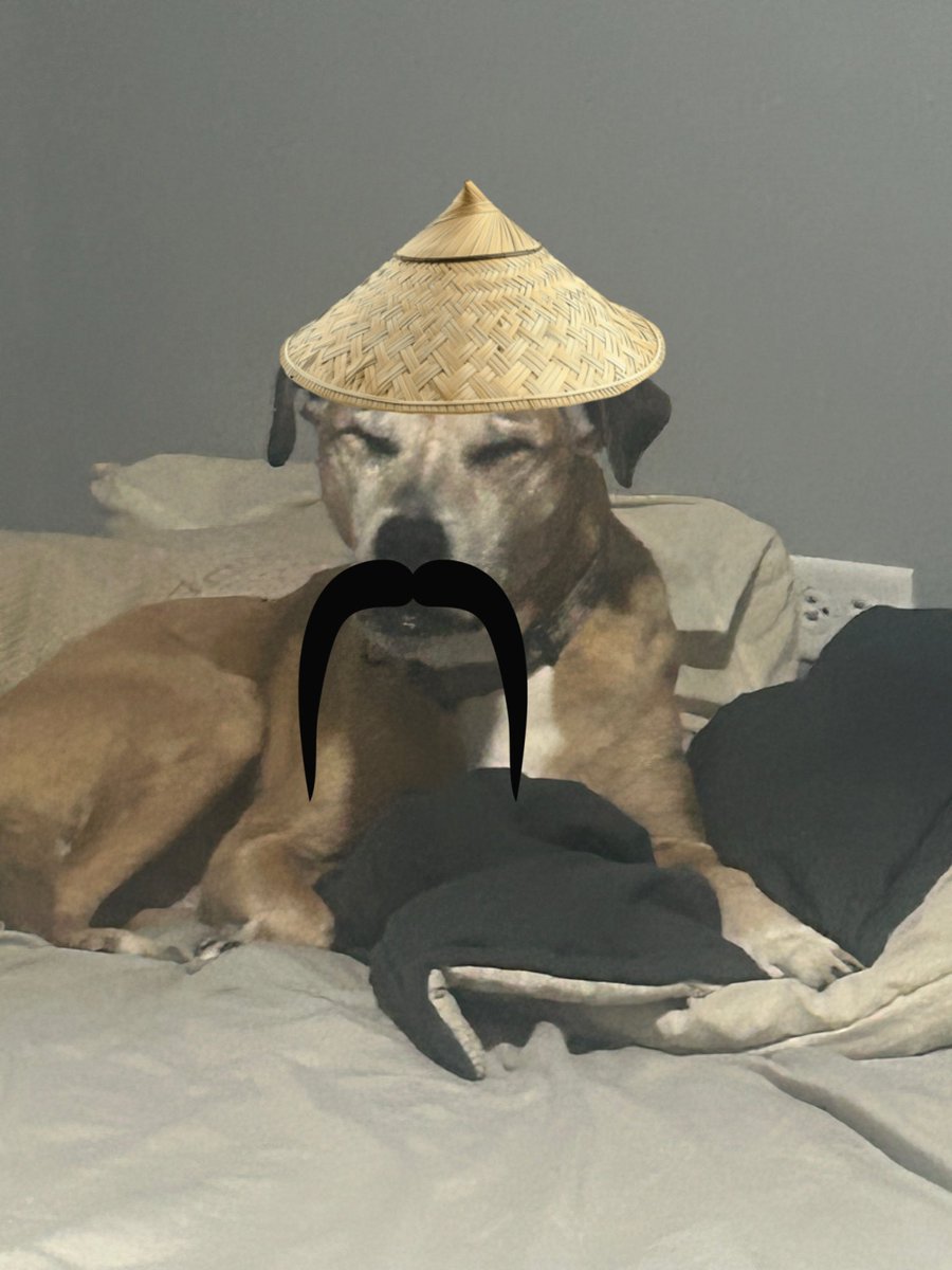 MatthewA259's tweet photo. @Tectone Lucky Mango meet the dog of the Great China https://t.co/yiWJocYac5