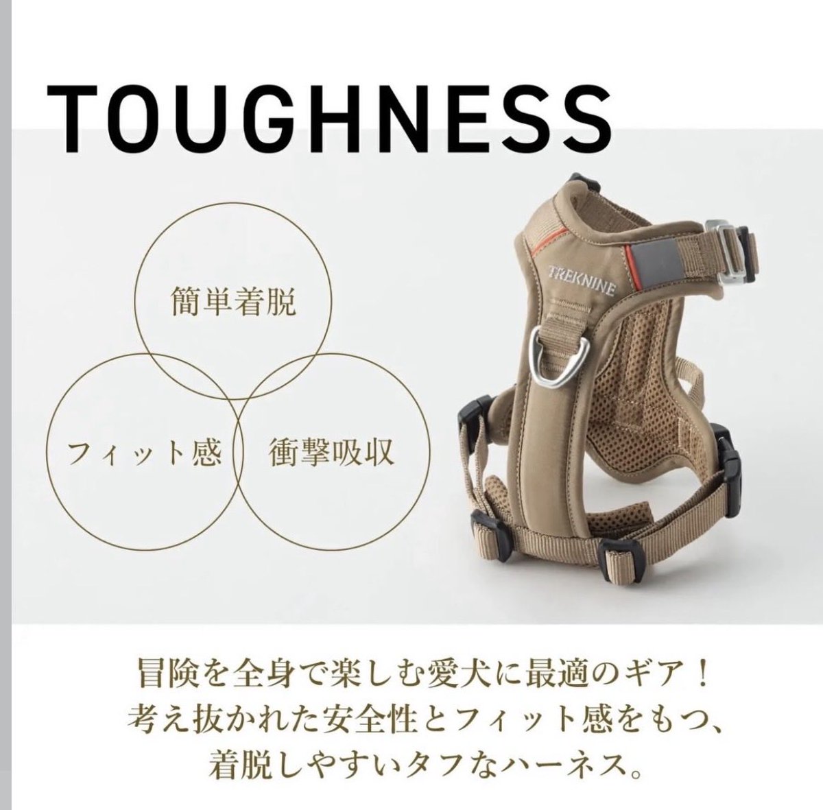 藤丸株式会社【公式】@北海道十勝帯広 tweet media