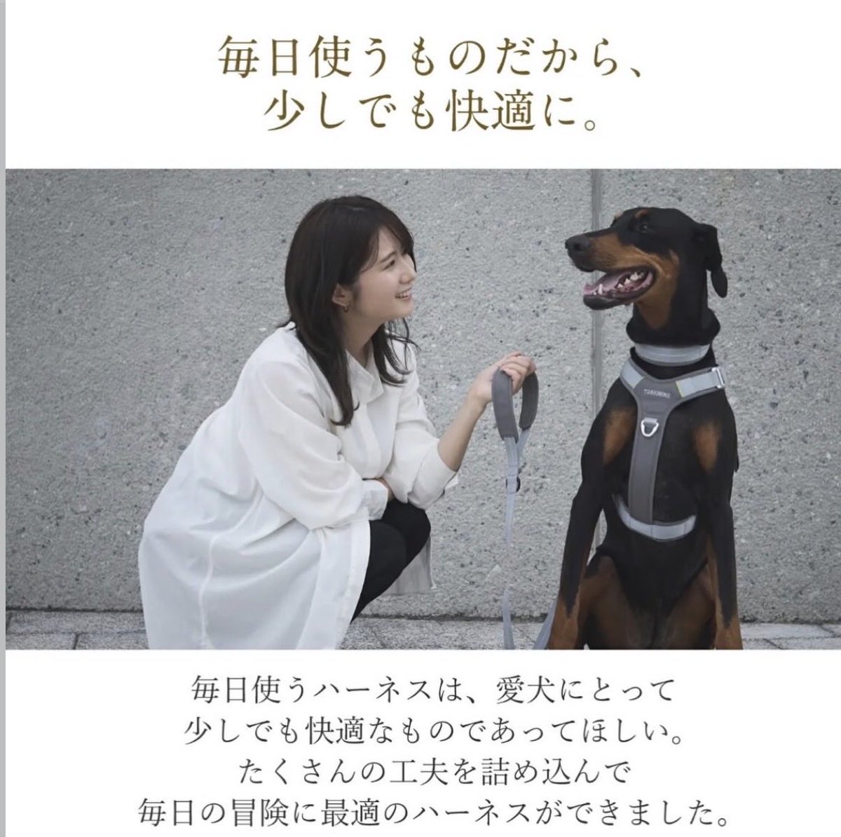 藤丸株式会社【公式】@北海道十勝帯広 tweet media