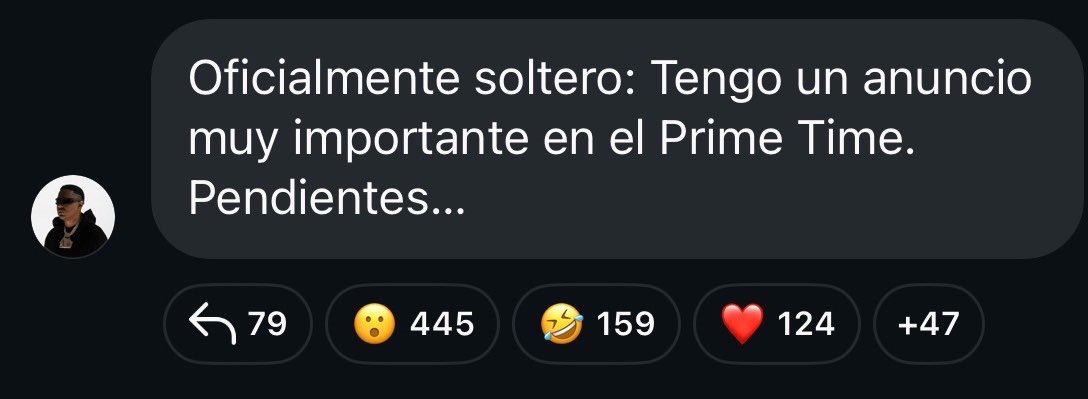 el gato de X tweet media