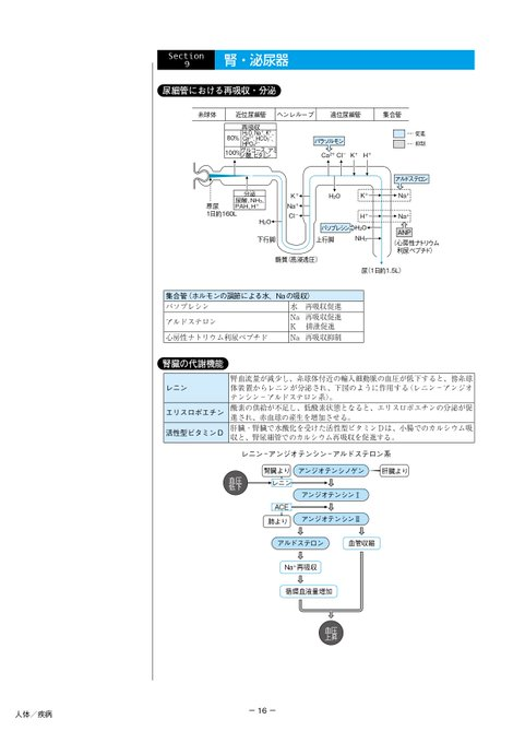 東京アカデミー看護師国家試験 tweet media
