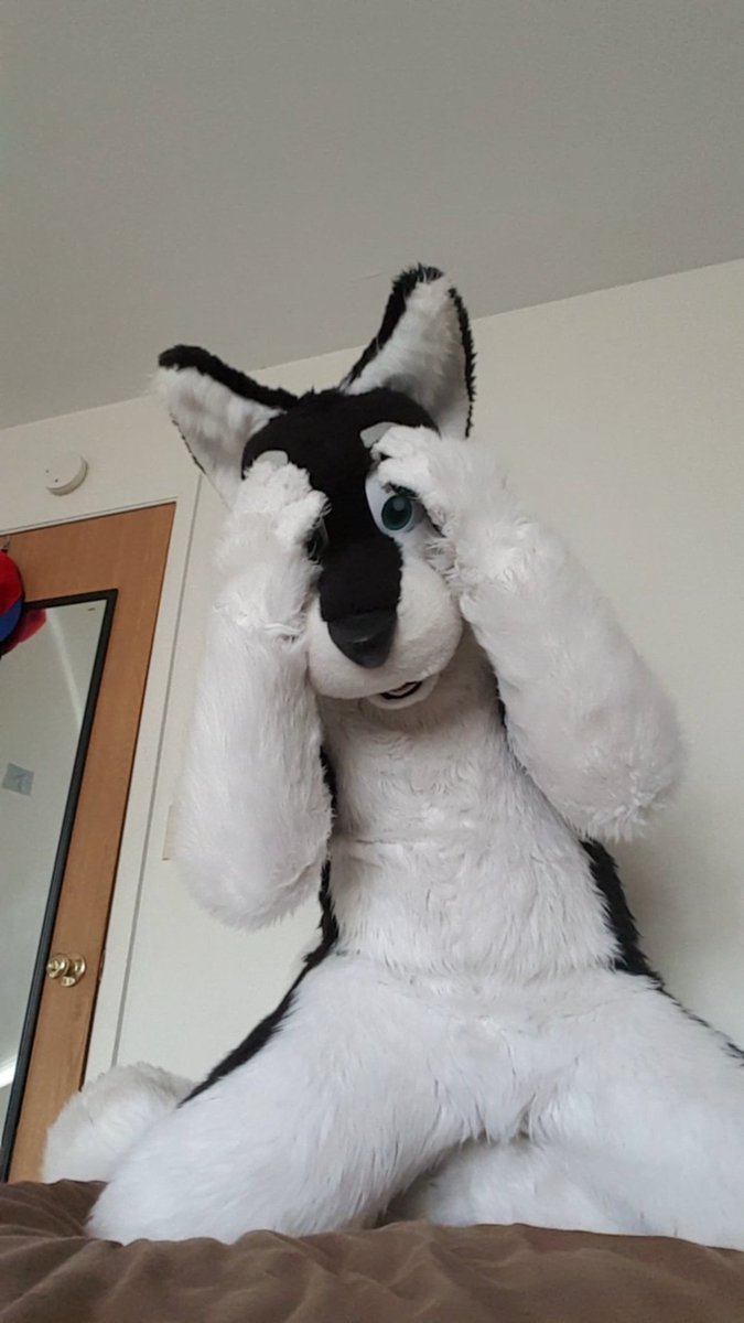 Derphusky tweet media