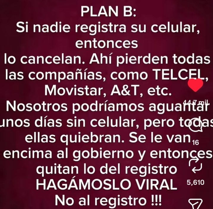 ameli escamilla tweet media