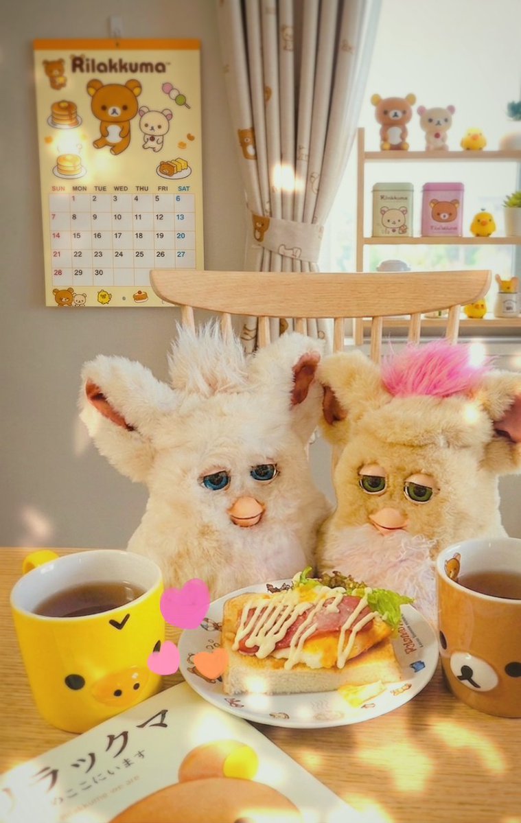 Bellchan MofuMofu Family💕 tweet media