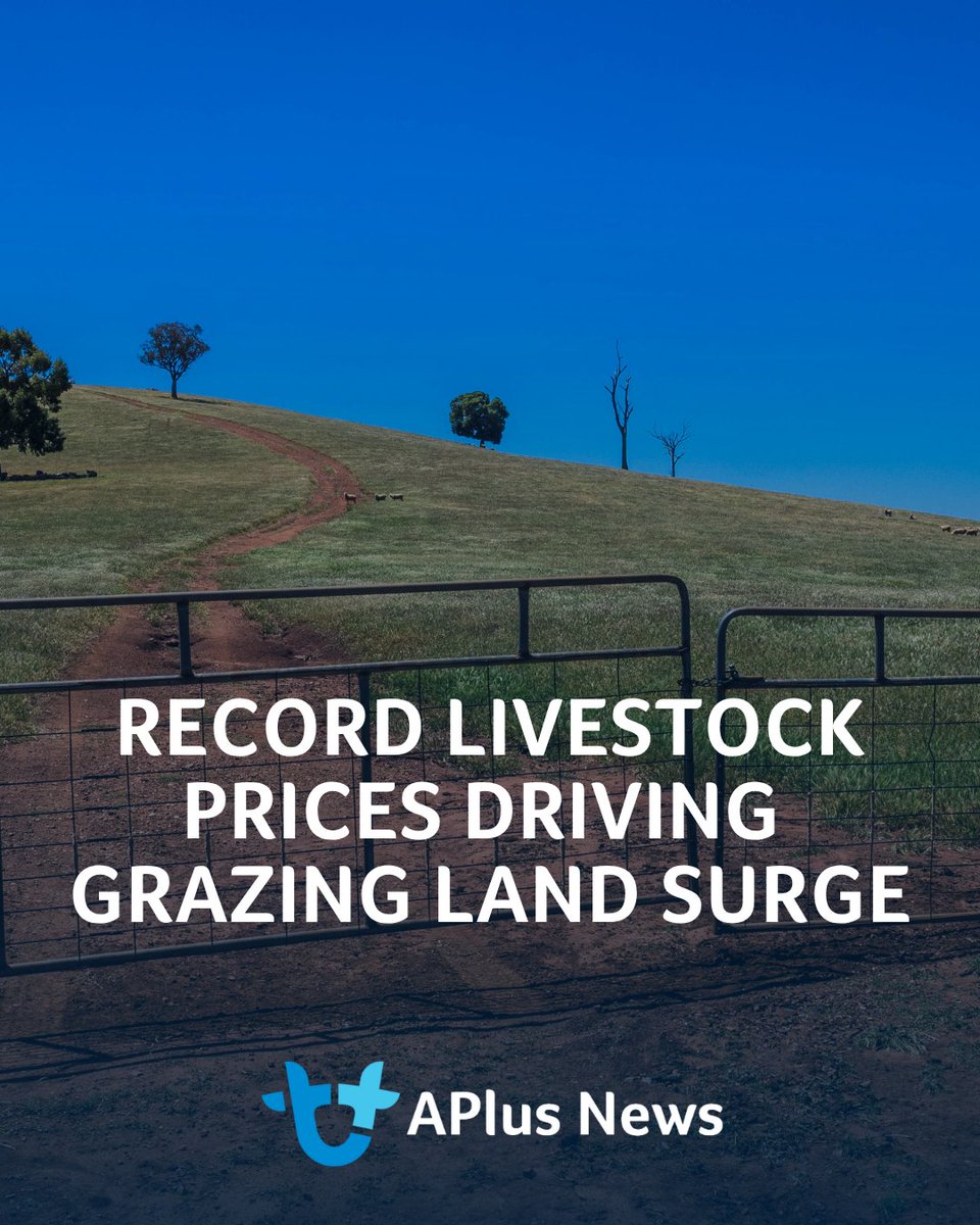AuctionsPlus tweet media
