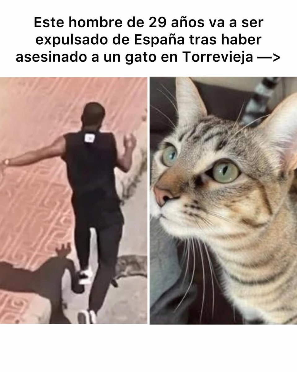 𝙻𝚢𝚔𝚊𝚗 tweet media