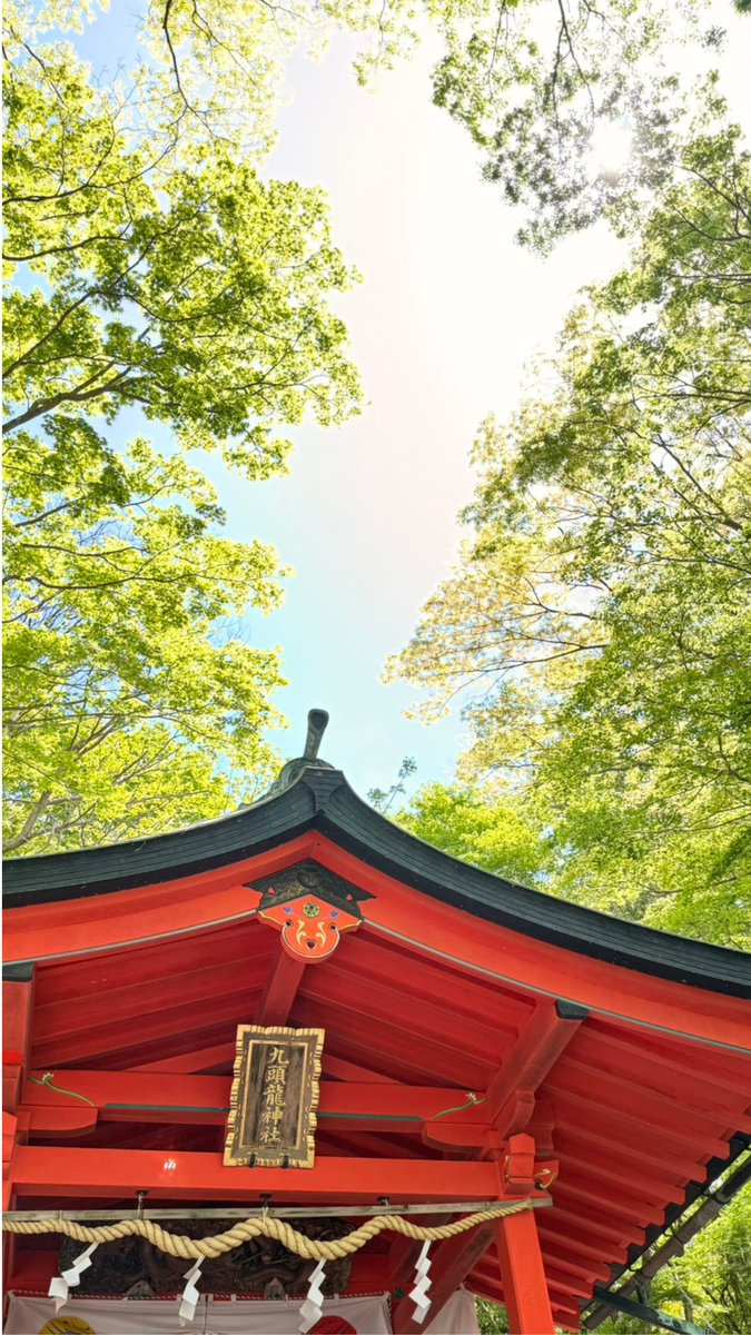 merumo3311's tweet photo. 昨日、九頭龍神社へ🌿

風と空気と

その場所を感じてきた

“答えを出す”より

ちゃんと感じることが

大事な気がしてる😊

#九頭龍神社
#占い師のつぶやき https://t.co/JV0CloPDjp