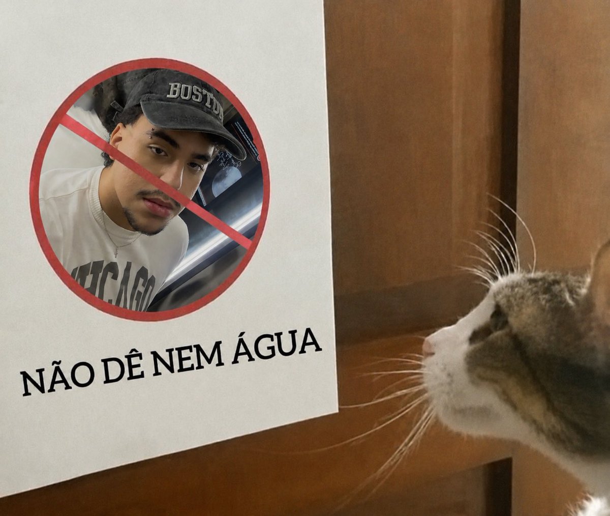 𝐜𝐚𝐝𝐞𝐥𝐢𝐧𝐡𝐚 🫦 tweet media