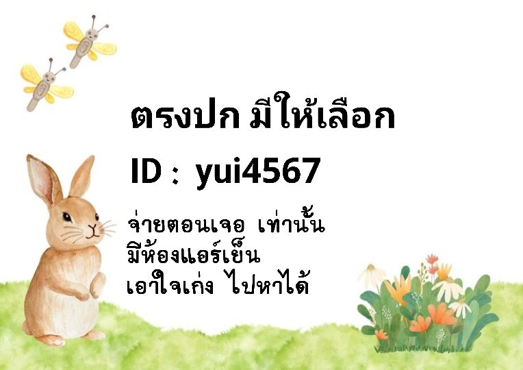 รอ tweet media