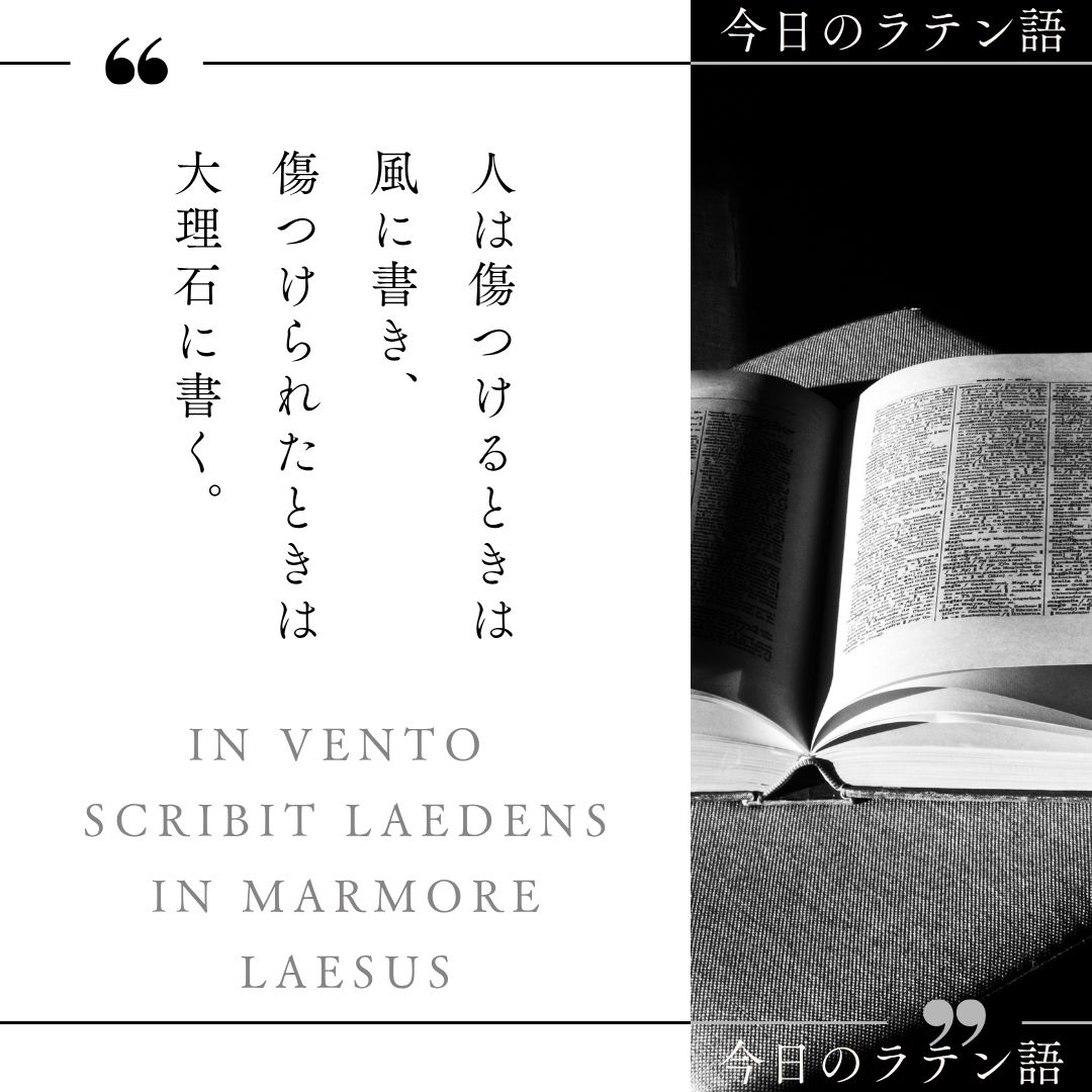 山の学校 tweet media