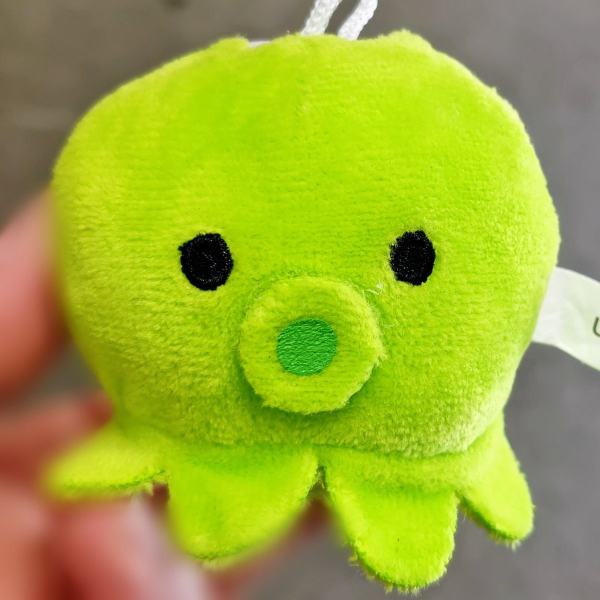 🐙♥ #fmkpop