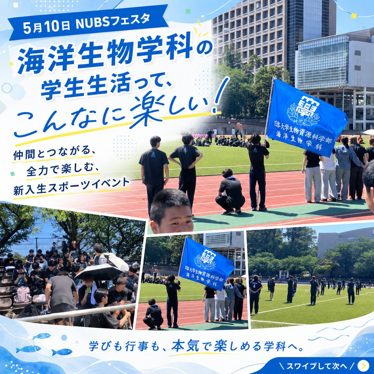 MsrNihon's tweet photo. 順位より、絆が深まった一日でした🏆
5/10に開催されたNUBSフェスタ⚾ 1年生が学科対抗で競うスポーツ大会です。 海洋生物学科の結果は…10位／11位！ ちょっぴり悔しい結果でしたが、 新入生どうしの仲はぐっと縮まりました🌊
慣れない大学生活がスタートして約1ヶ月。 同じ「海好き」が集まる学科だからこそ、 グラウンドでも自然と一体感が生まれます。 勝ち負けより、ここで出会った仲間と これから4年間、海の研究に挑む日々が本番。
そんな海洋生物学科の雰囲気、もっと知りたい方は プロフィールのリンクから学科HPをチェック✨ 質問はDMでもお気軽にどうぞ！

#日大 #日本大学 #生物資源科学部 #生物資源 #海洋 #海洋生物学科 #大学生活 #大学選び #理系大学 #キャンパスライフ #新入生 #スポーツ大会 #海好きと繋がりたい #海洋研究 #学科紹介