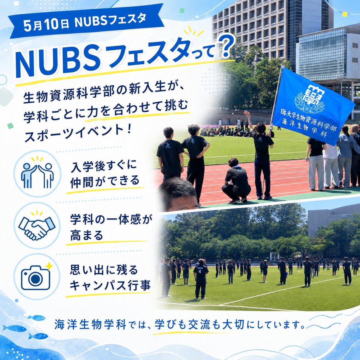 MsrNihon's tweet photo. 順位より、絆が深まった一日でした🏆
5/10に開催されたNUBSフェスタ⚾ 1年生が学科対抗で競うスポーツ大会です。 海洋生物学科の結果は…10位／11位！ ちょっぴり悔しい結果でしたが、 新入生どうしの仲はぐっと縮まりました🌊
慣れない大学生活がスタートして約1ヶ月。 同じ「海好き」が集まる学科だからこそ、 グラウンドでも自然と一体感が生まれます。 勝ち負けより、ここで出会った仲間と これから4年間、海の研究に挑む日々が本番。
そんな海洋生物学科の雰囲気、もっと知りたい方は プロフィールのリンクから学科HPをチェック✨ 質問はDMでもお気軽にどうぞ！

#日大 #日本大学 #生物資源科学部 #生物資源 #海洋 #海洋生物学科 #大学生活 #大学選び #理系大学 #キャンパスライフ #新入生 #スポーツ大会 #海好きと繋がりたい #海洋研究 #学科紹介