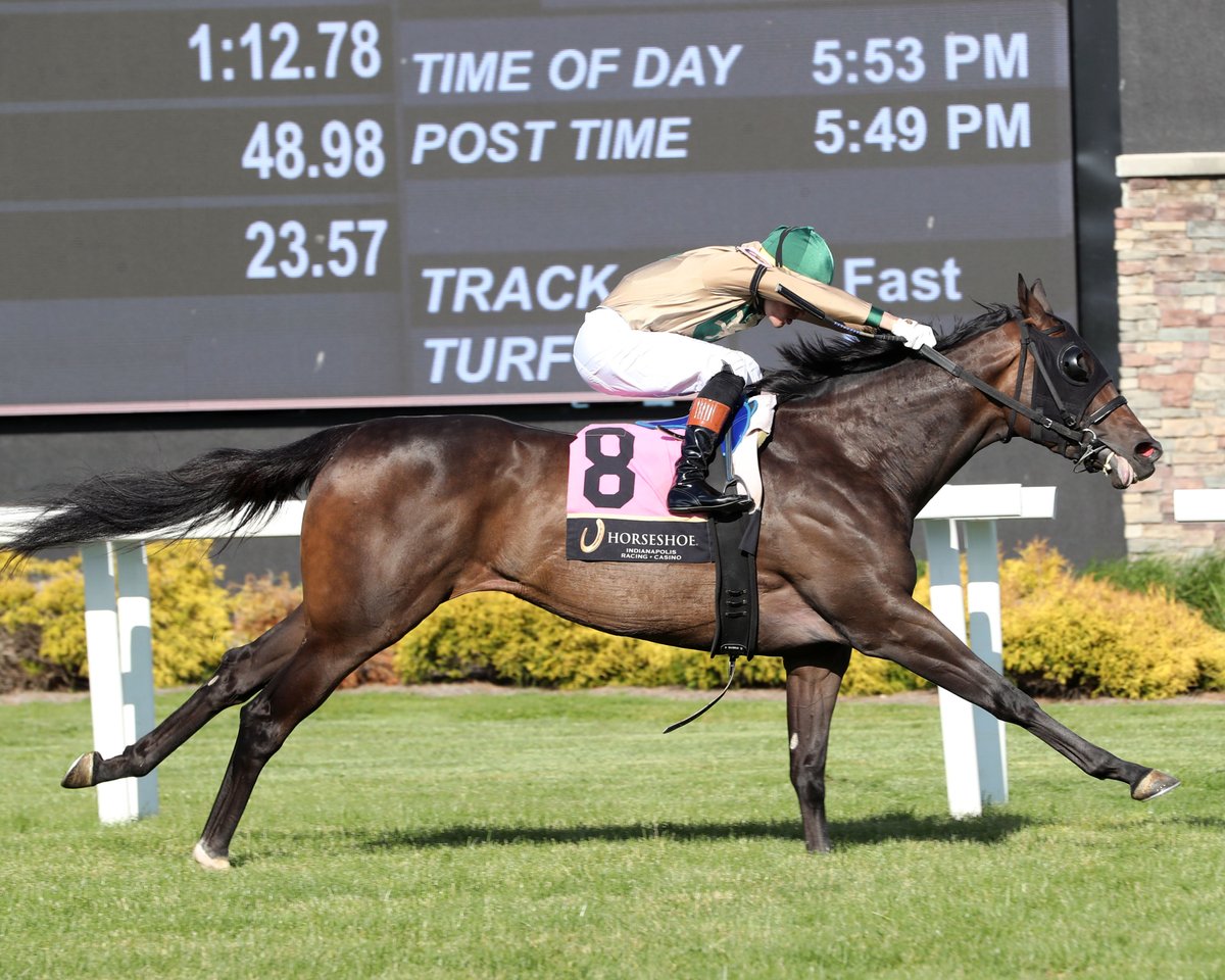 HSIndyTammy's tweet photo. How About Now right on time in Cleopatra (BT), Indiana's richest turf race at Horseshoe Indianapolis: https://t.co/ZmddUCJrZX  Photos by Coady Media  #racelikeacaesar  @TOBAIndiana @IndianaHBPA @INThoroughbred @IndyTBAlliance https://t.co/Q0fz7MzpUN